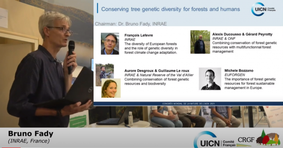 Session sur la conservation des ressources génétiques forestières organisée par la CRGF et le comité français de l’UICN.