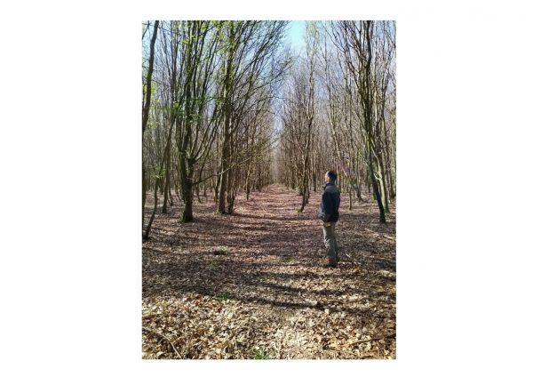 LyonsCommonGardenBeforeBudburst