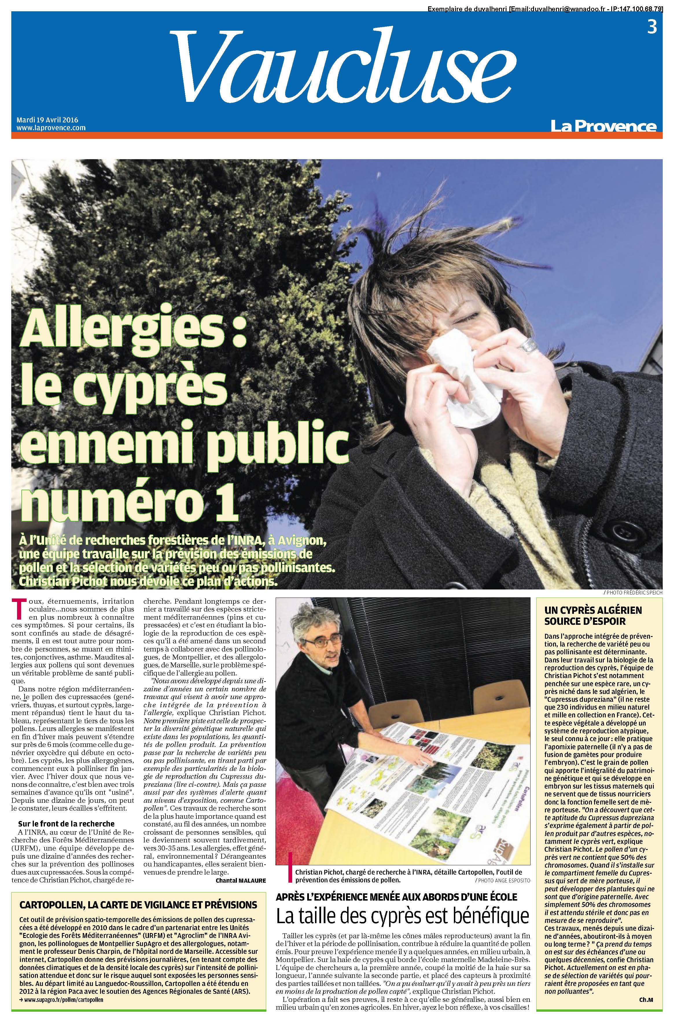 Allergies : le cyprès ennemi public numéro 1