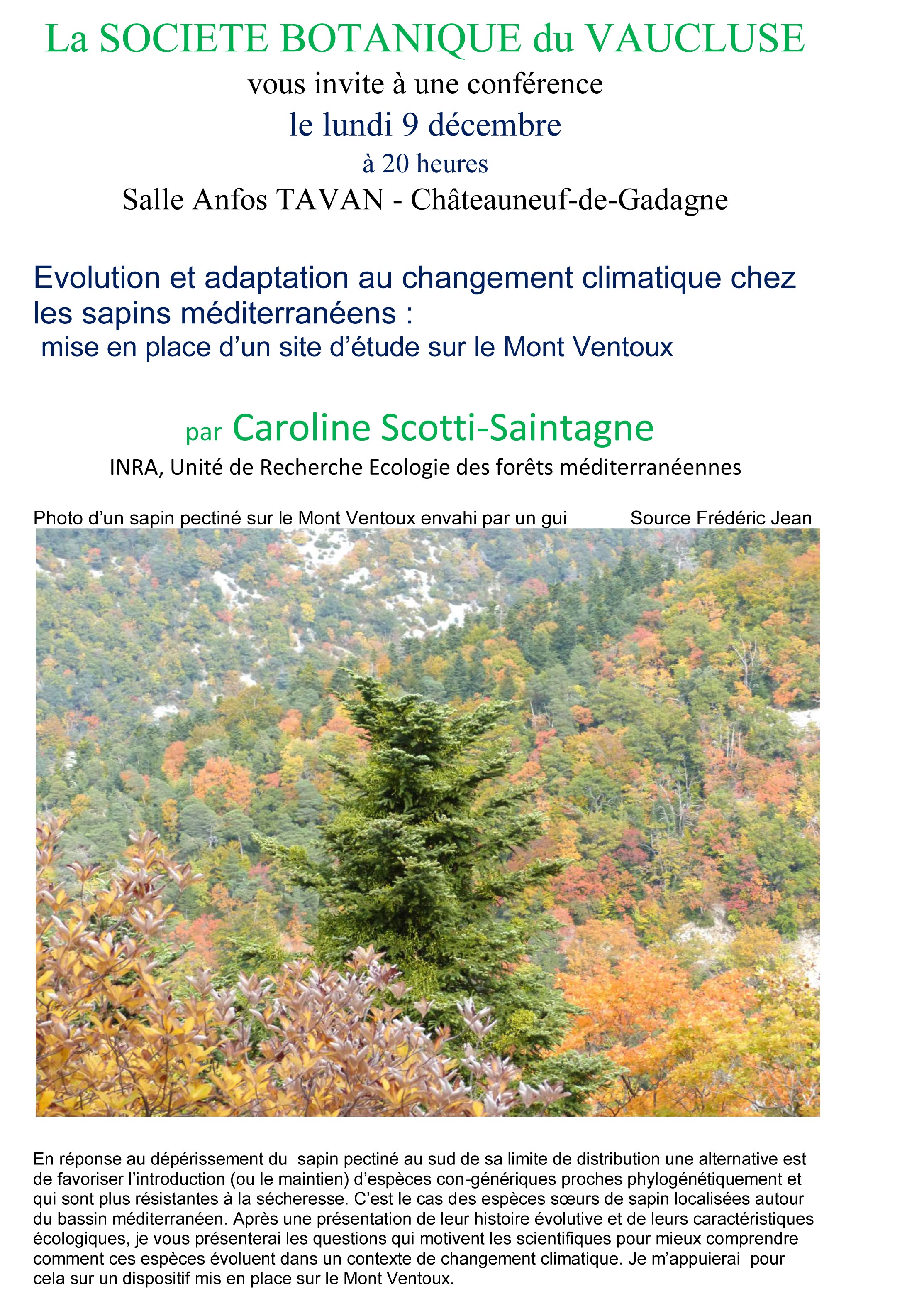 Evolution et adaptation au changement climatique chez les sapins méditerranéens :  mise en place d’un site d’étude sur le Mont Ventoux