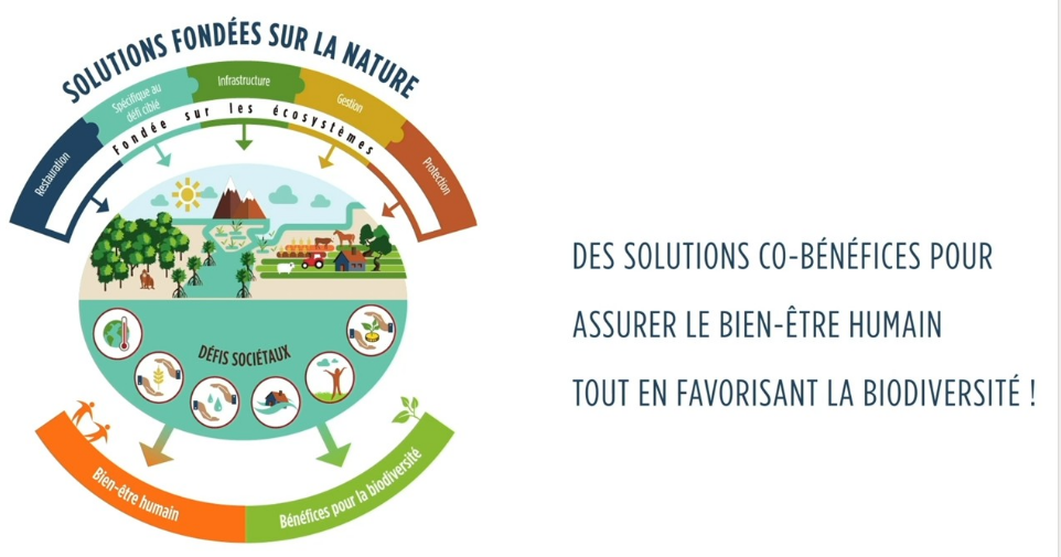 Nature-based solutions à l'URFM