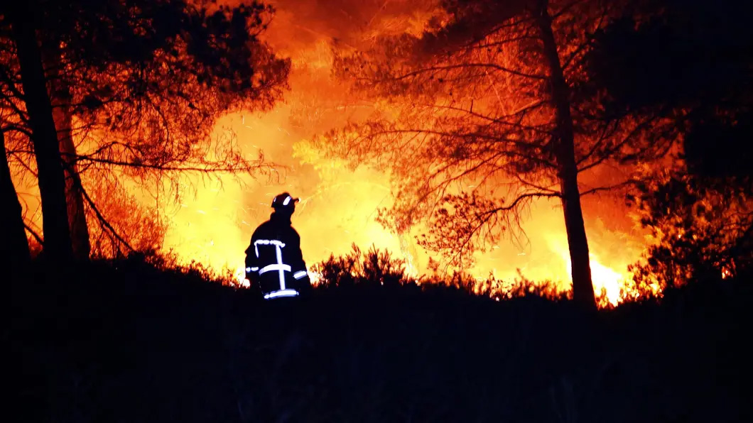Nos forêts pourront-elles résister longtemps aux feux ? 